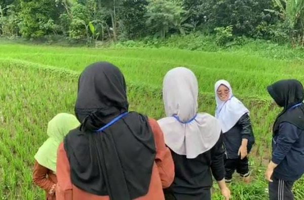 Intip Yuk Keseruan Giat Profesi SMAHA