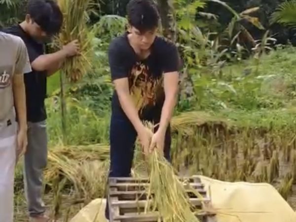 Serunya Live In di Dusun Kluwak
