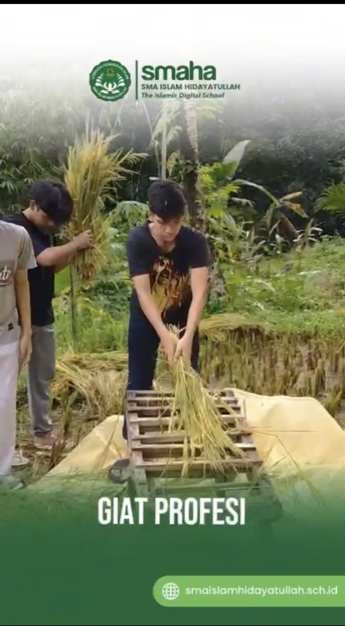 Serunya Live In di Dusun Kluwak
