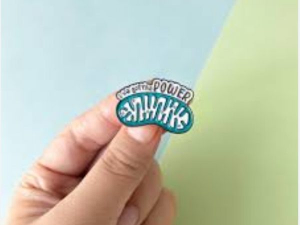 Mitokondria, Hadiah Ibu untuk Dunia