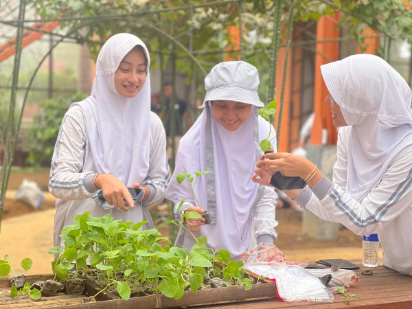 Dolan Kebun Ceria:  Hidroponik itu Asik